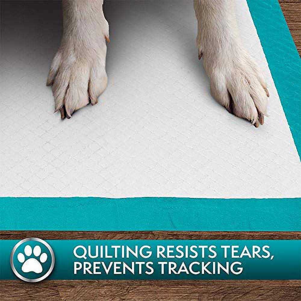 Simple Solution Extra Large Training Pads - Healthber