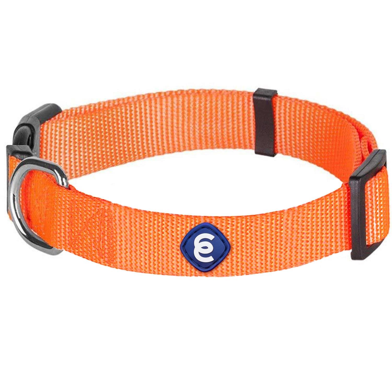 Blueberry Pet Classic Dog Collar - Healthber