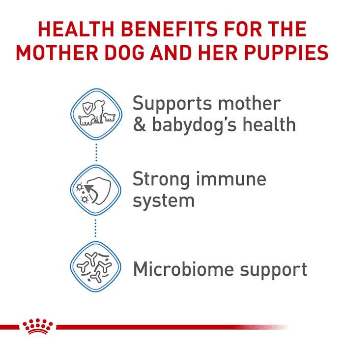 Royal Canin Small Starter Babydog & Mother Dry Dog Food - Healthber