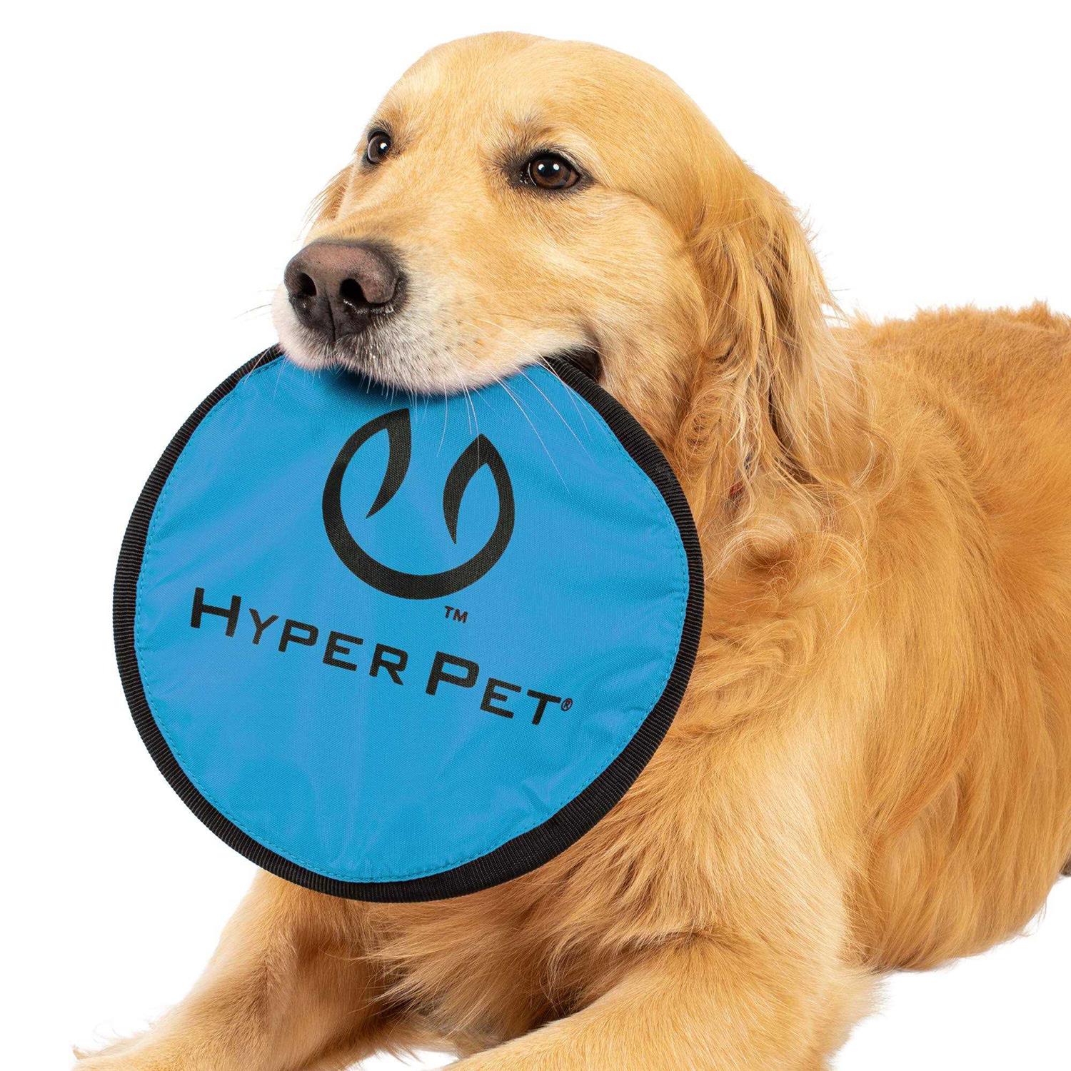 Hyper Pet Flippy Flopper - Healthber