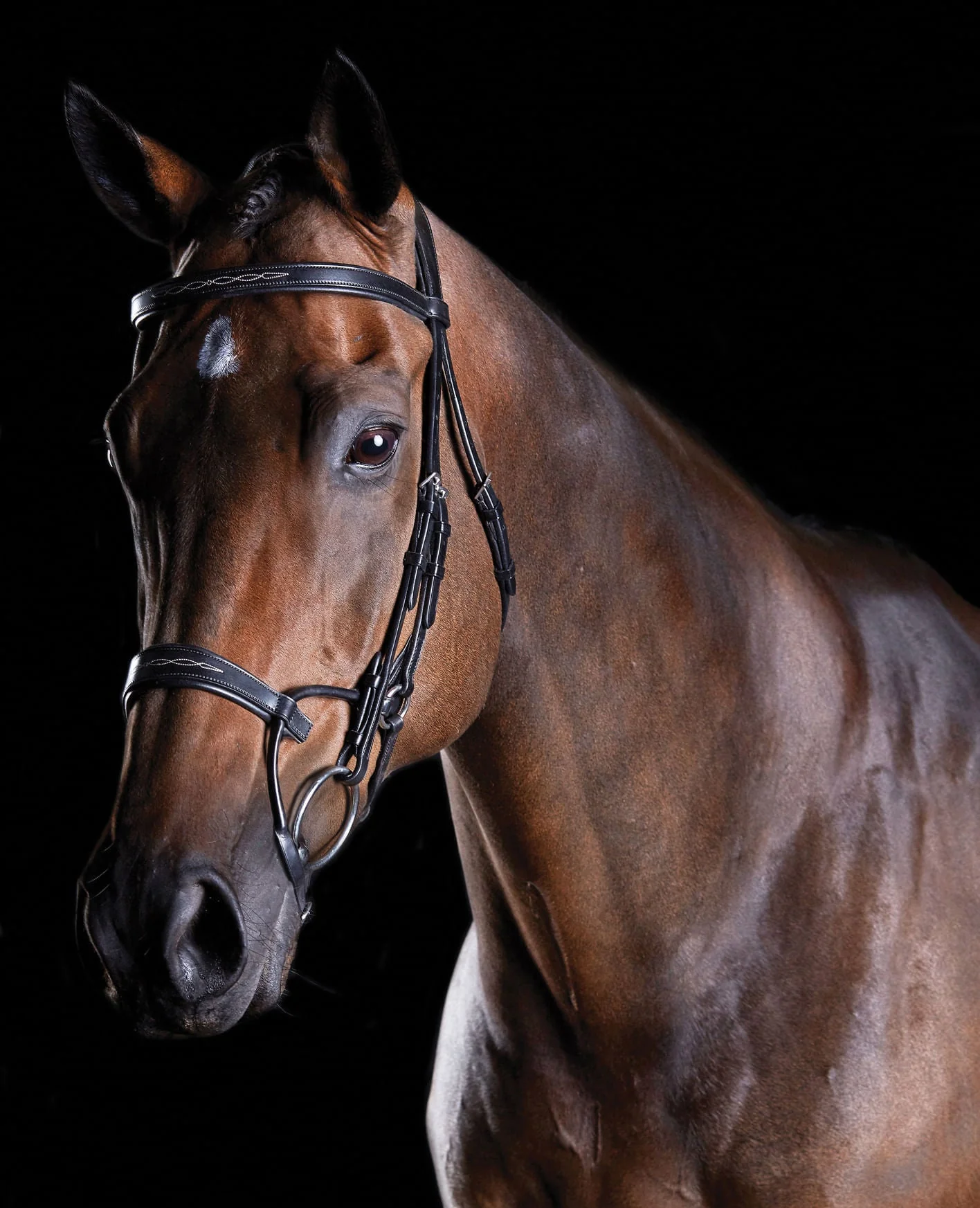 Collegiate ComFITec Fancy Stitch Bridle - Healthber