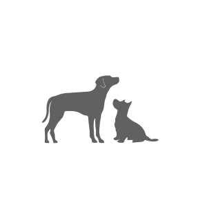 Lupine Dog Collar Eco - Healthber