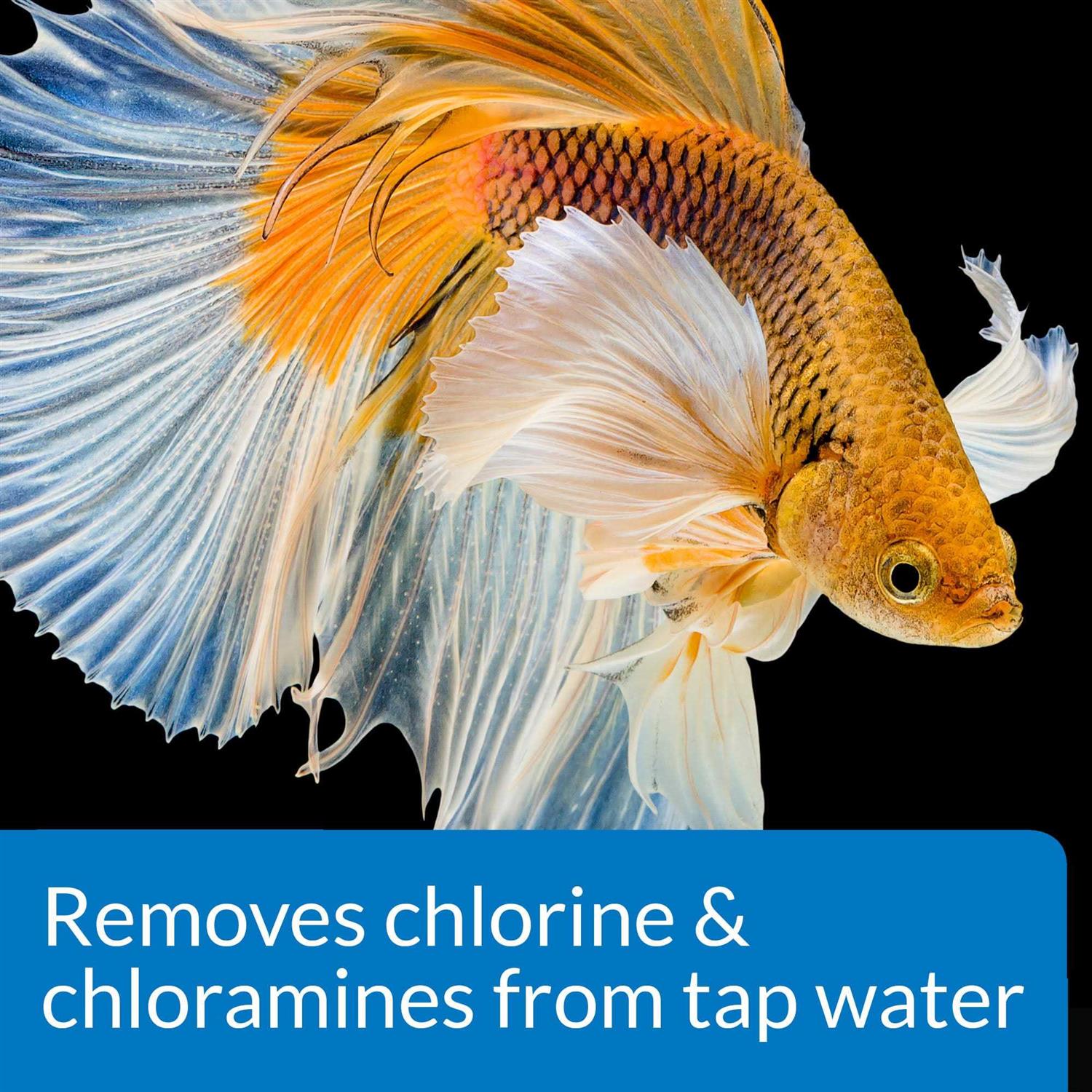 API Betta Water Conditioner - Healthber