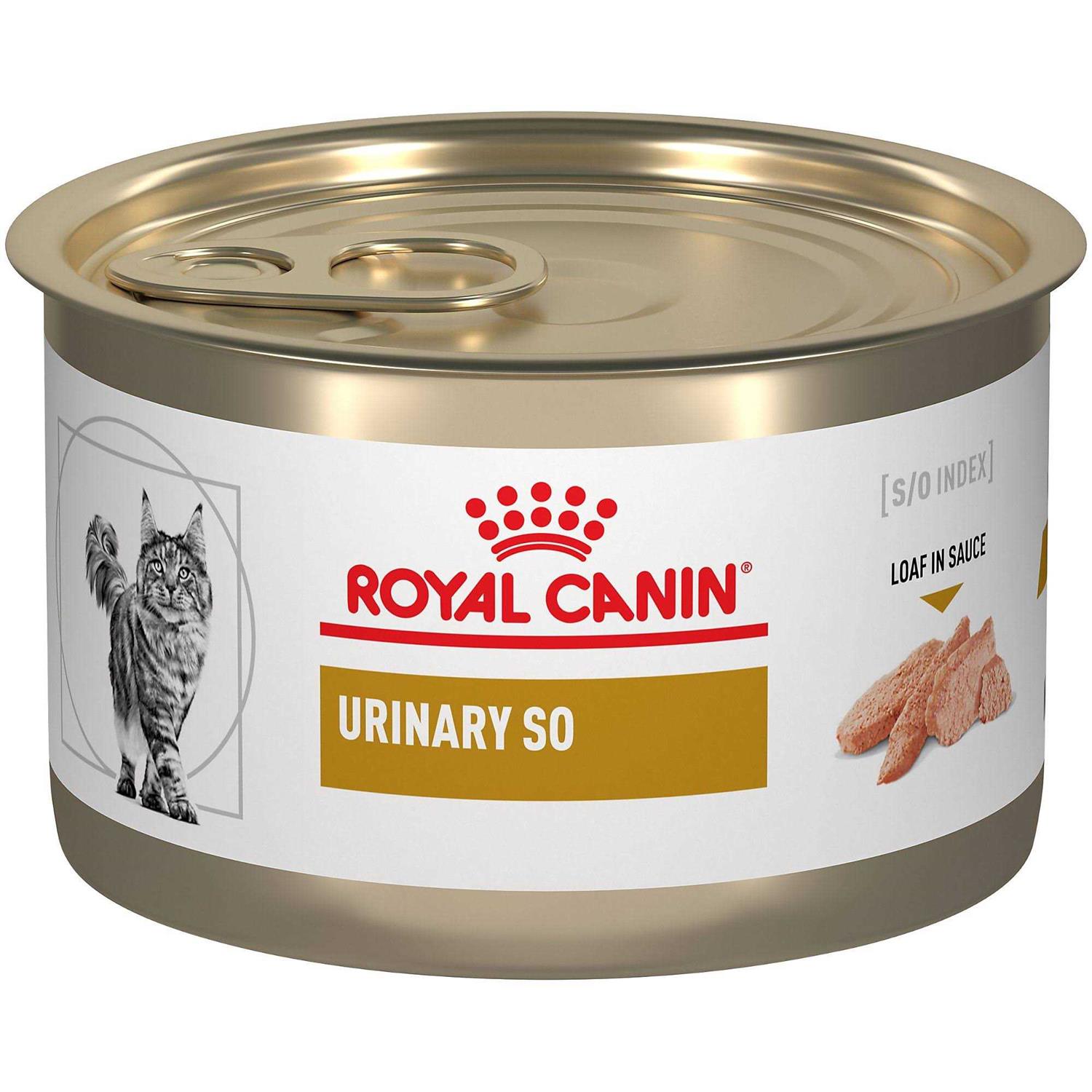 Royal Canin Urinary So in Gel Canned Wet Cat Food - Healthber