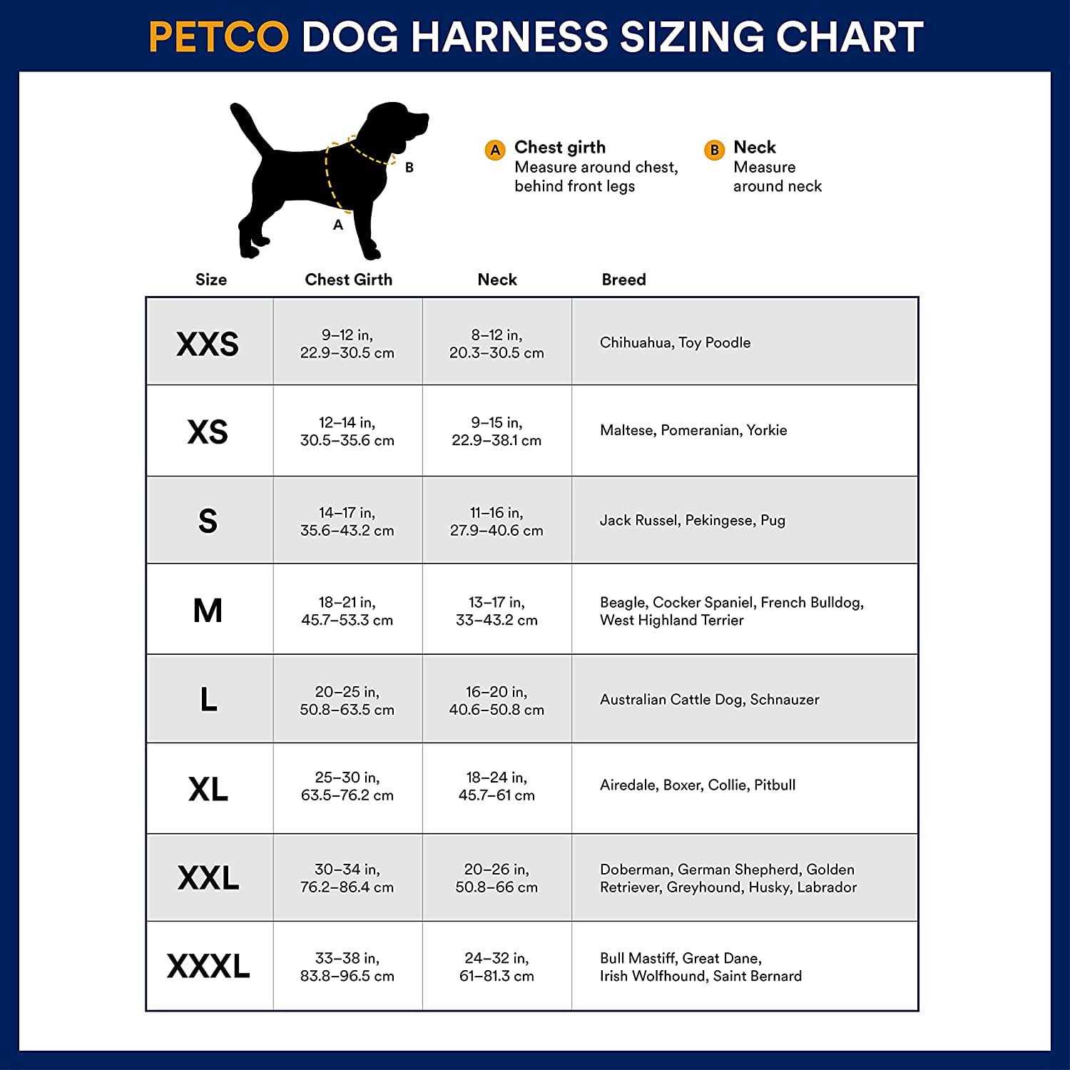 Reddy Small Dog Harness - Healthber