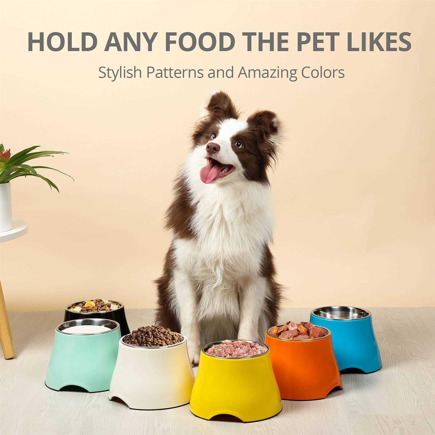 yoken Elevated Dog Bowls Stainless Steel Bowl,Prevention of Vertebrae Disease - Healthber
