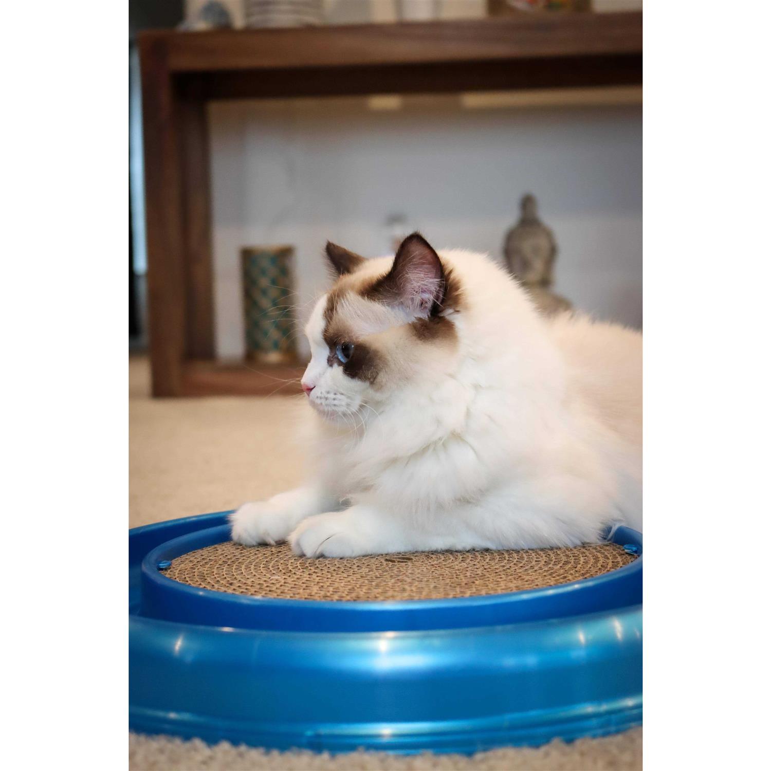 Morovilla Turbo Interactive Scratcher Cat Toy Colors May Vary - Healthber