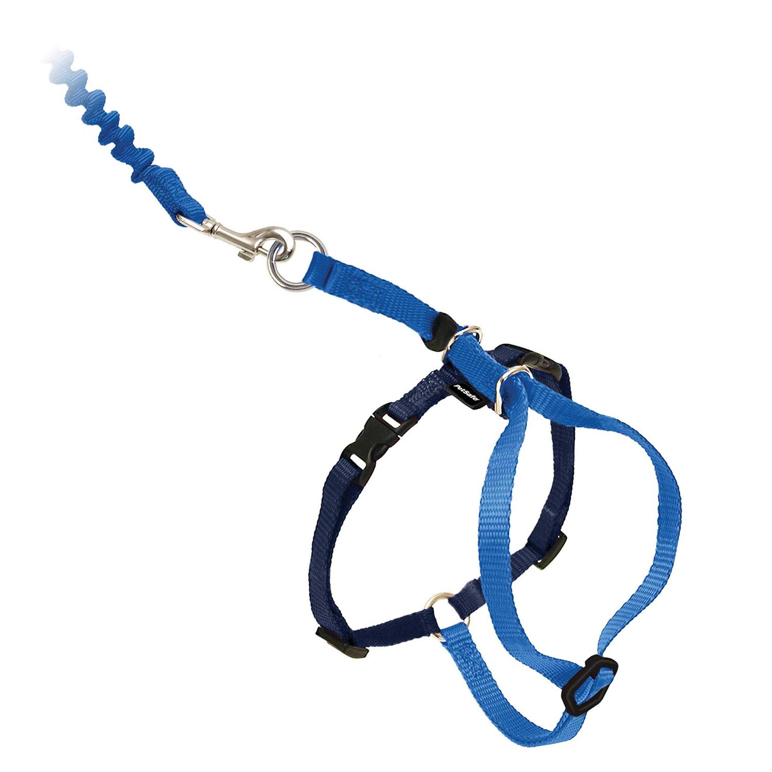 PetSafe Come with Me Kitty Harness Bungee Leash - Healthber