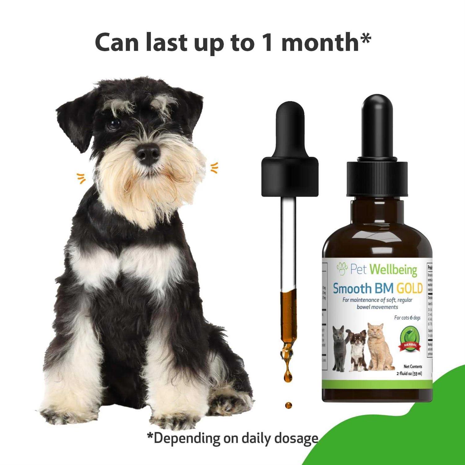 Pet Wellbeing Smooth BM Gold - Healthber
