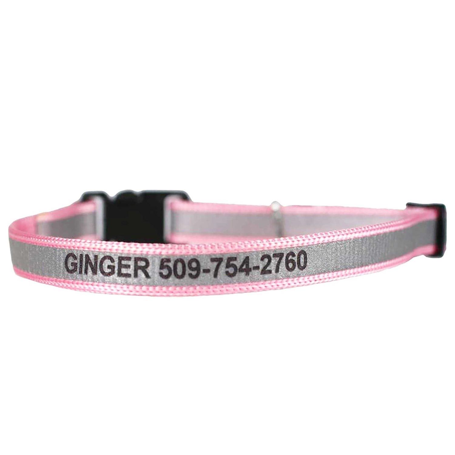 GoTags Nylon Personalized Breakaway Cat Collar with Bell - Healthber
