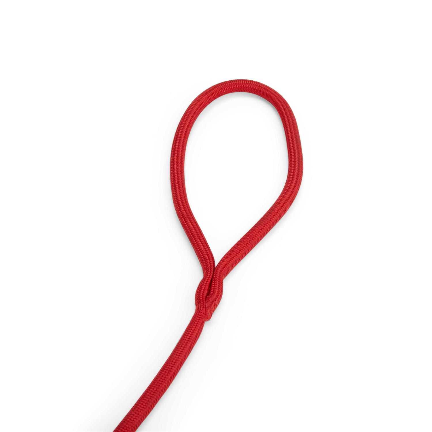 EveryYay Settin’ the Pace Training Rope Slip Lead for Dogs - Healthber