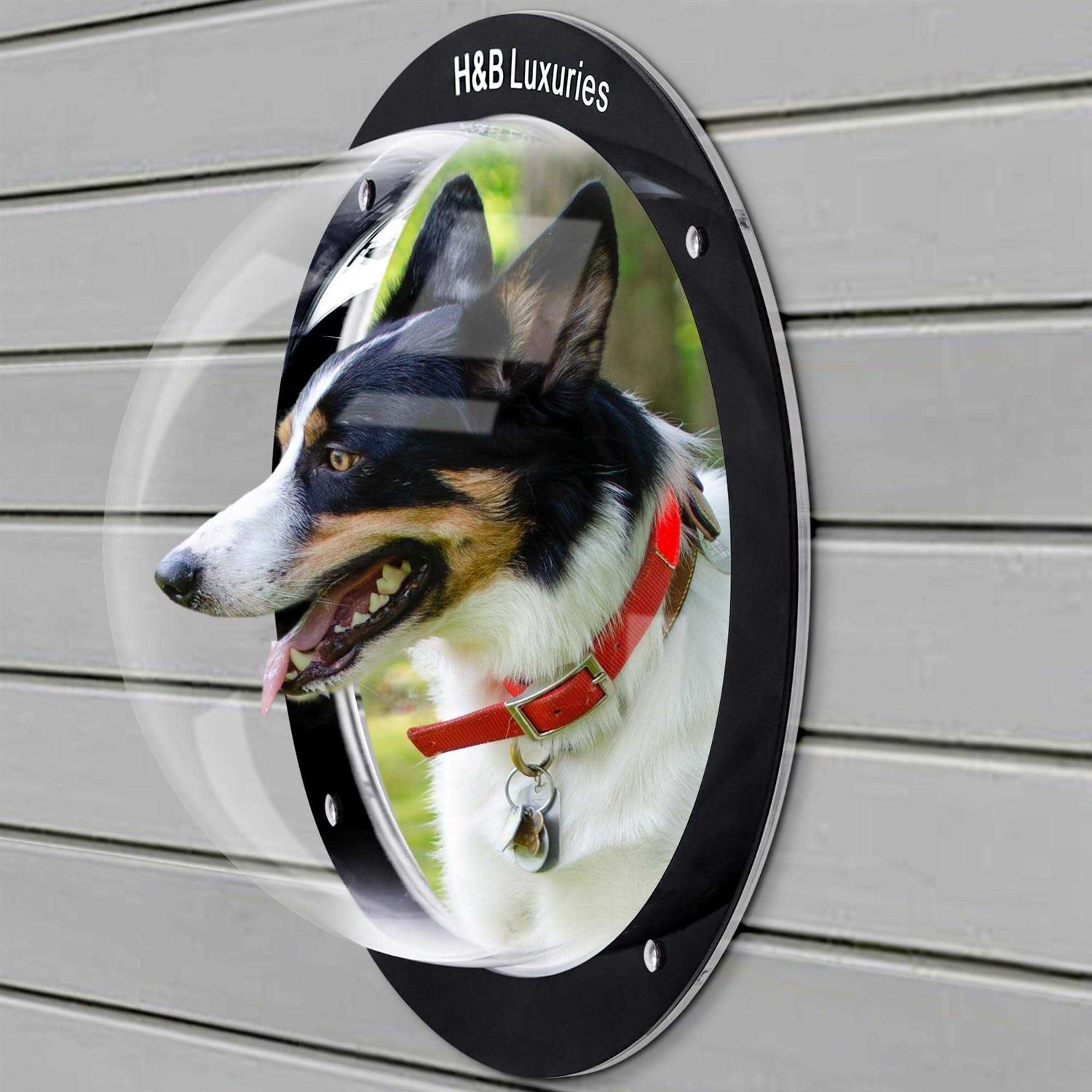 H&b Luxuries Durable Acrylic Dome Dog Window for Fence to View Outside for Satisfying Curious Pets - Healthber