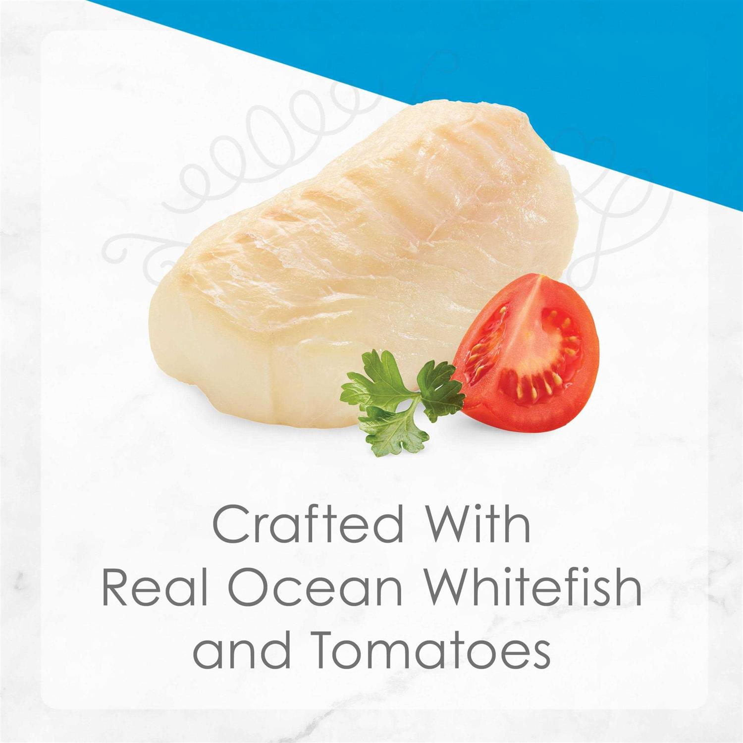 Fancy Feast Petites Ocean Whitefish Entree with Tomato in Gravy Wet Cat Food - Healthber