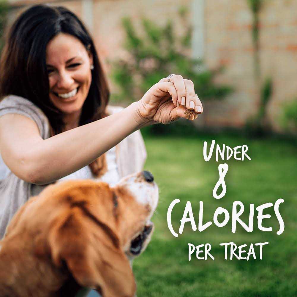 Fruitables Dog Treats Pumpkin - Healthber