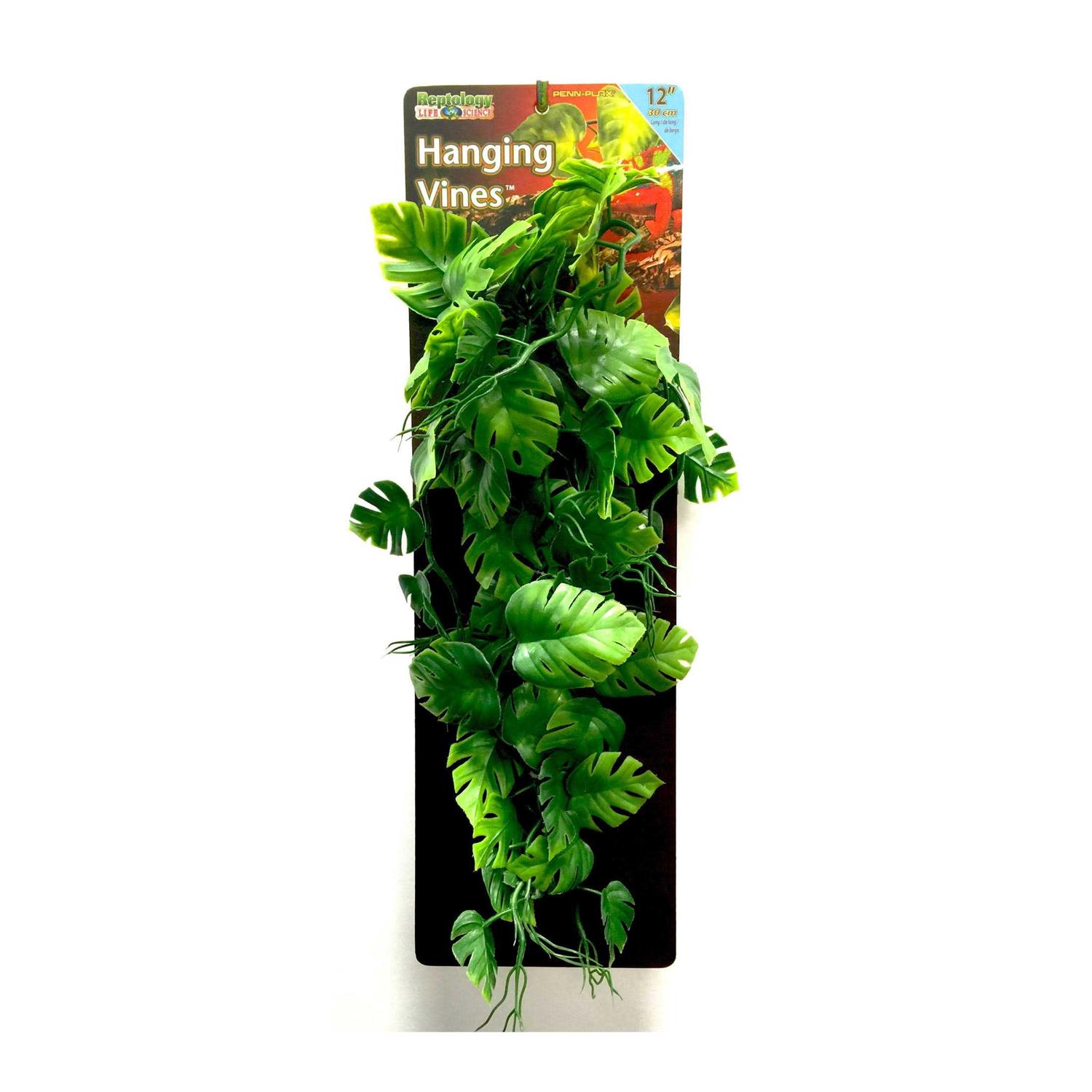 Reptology Climber Vine - Healthber