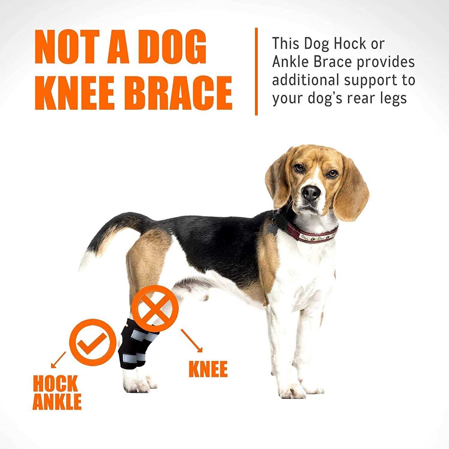 NeoAlly Dog Rear Leg Brace Canine Hock Ankle Support with Safety Reflective Straps for Hind Leg Wounds Heal and and - Healthber