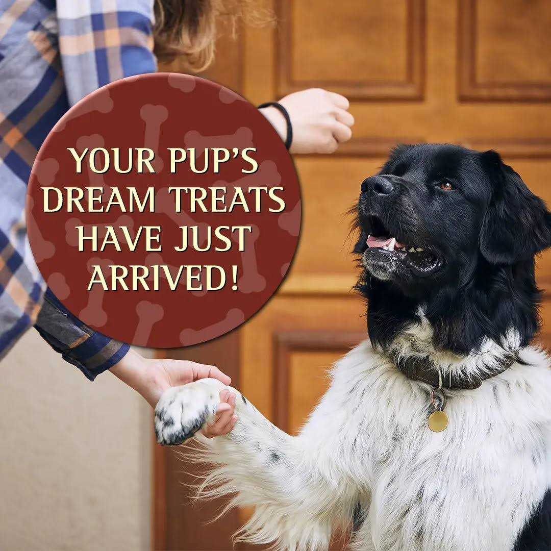 Zignature Soft Moist Dog Treats - Healthber