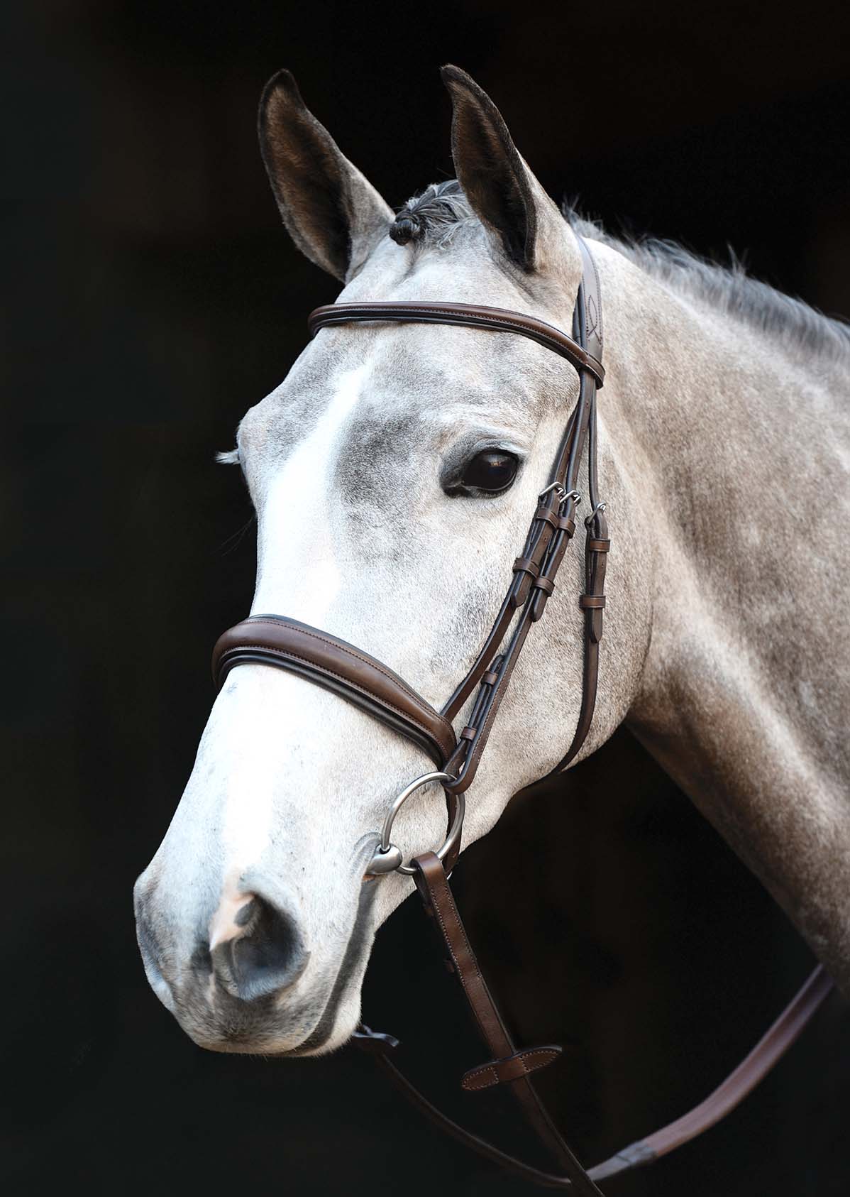 Collegiate Mono Crown Padded Raised Cavesson Bridle - Healthber
