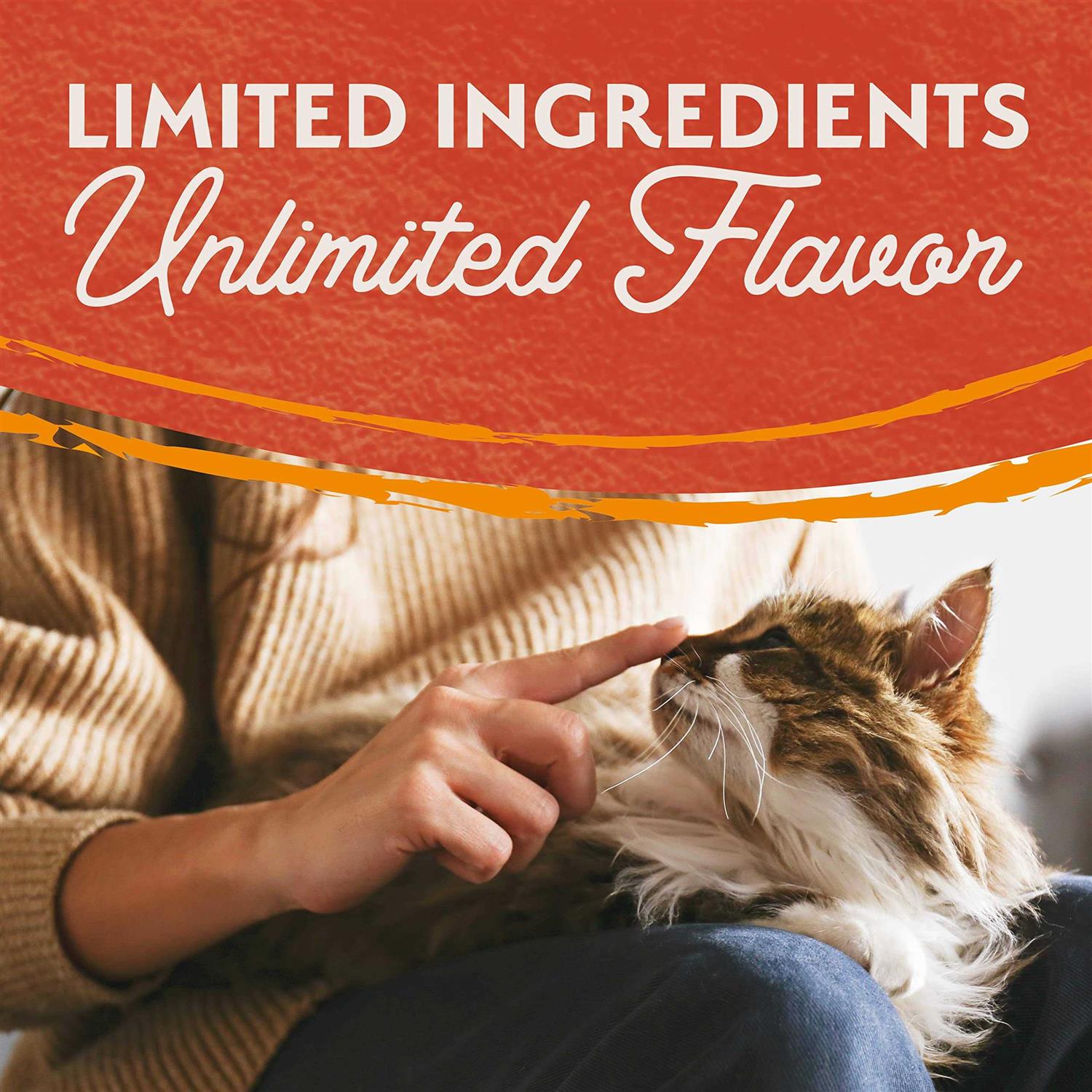 Natural Balance Limited Ingredient Diets Dry Cat Food - Healthber