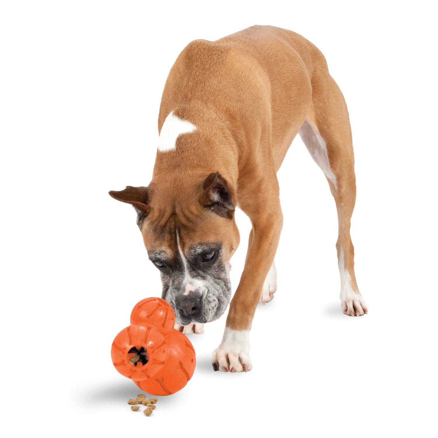 PetSafe Sportsmen Barnacle - Healthber