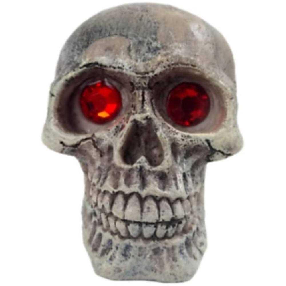 Penn Plax Deco-Replicas Skull Gazer Ornament Assorted Styles - Healthber