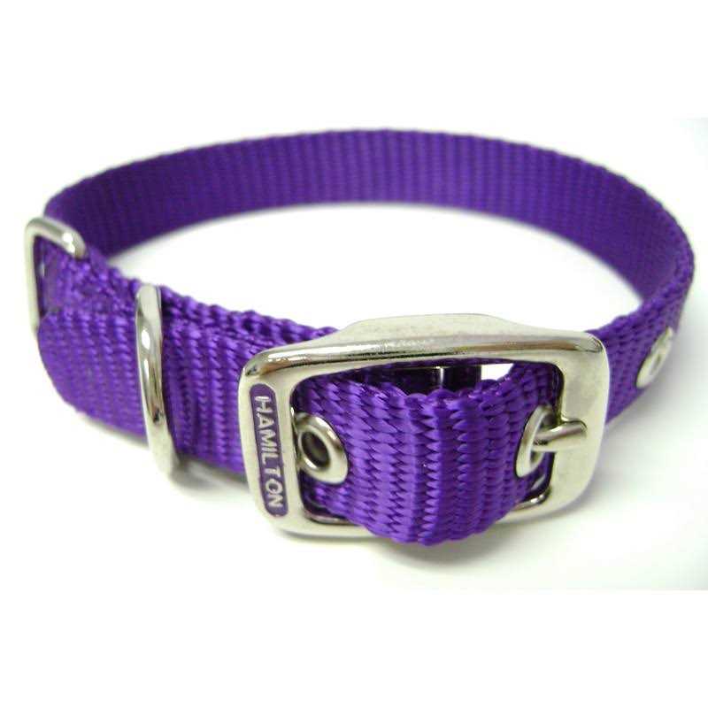 Hamilton Thick Nylon Dog Collar - Healthber