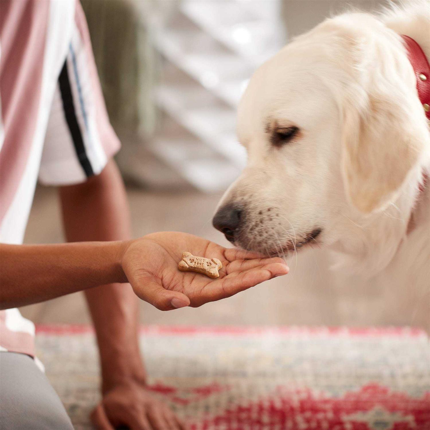 Milk-Bone Dipped Dog - Healthber