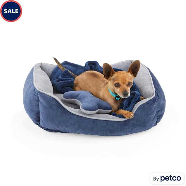 EveryYay Essentials Snooze Fest Dog Bed Bundle - Healthber