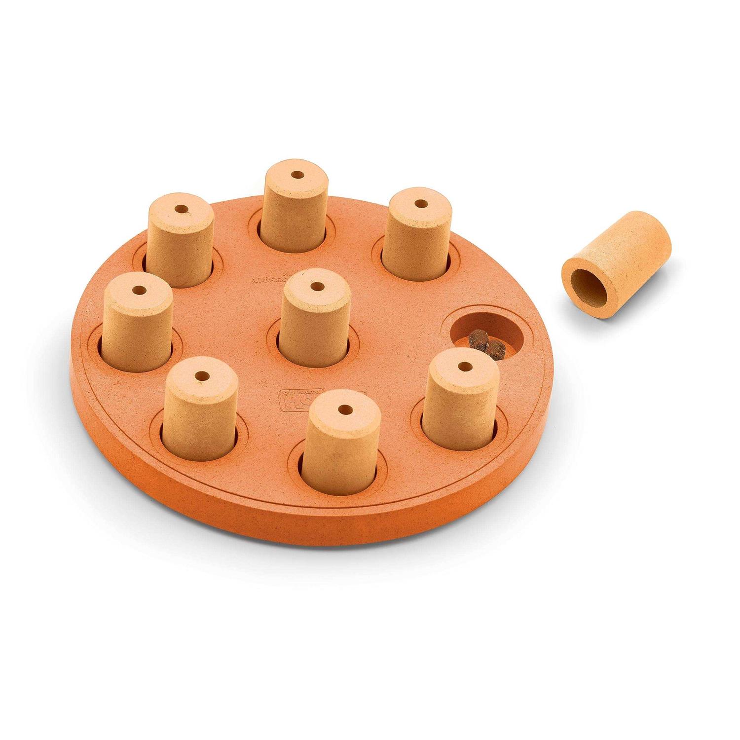 Outward Hound Nina Ottosson Dog Smart Composite Puzzle - Healthber