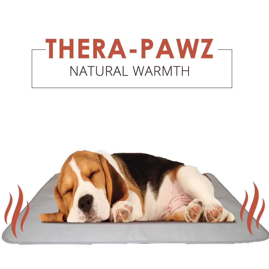 The Green Pet Shop Thera-Pawz Warming Pad - Healthber