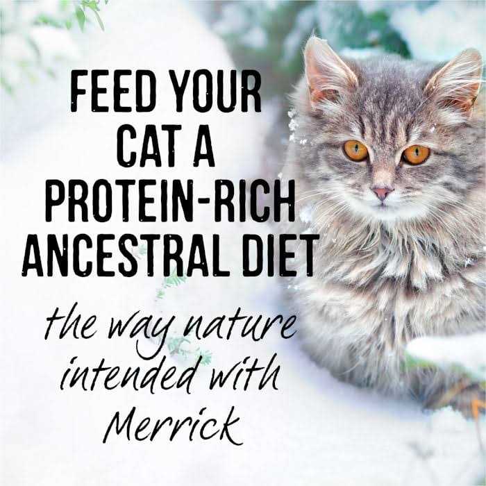 Merrick Backcountry Cat Food Real Cuts - Healthber