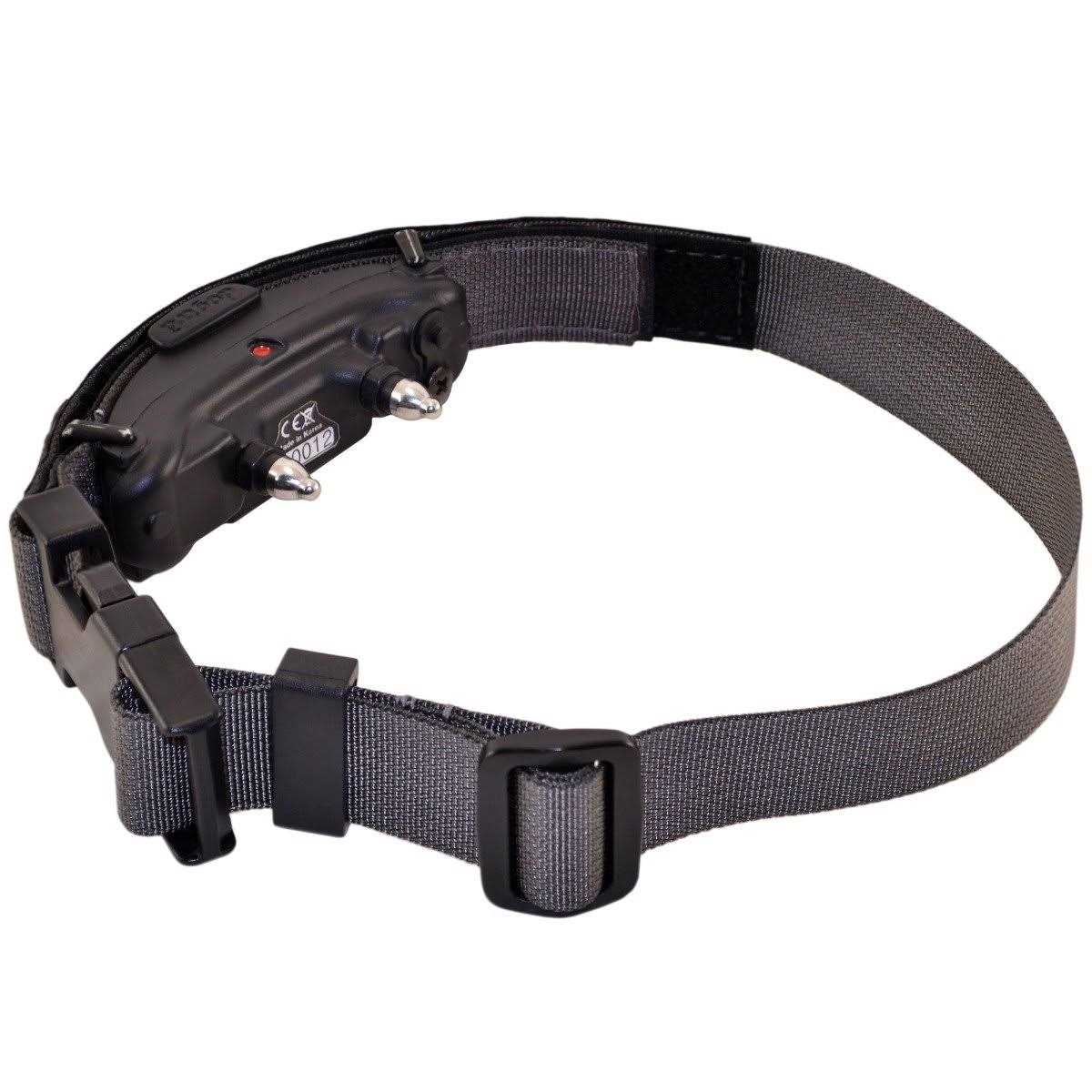 Mini E-Lusive Collar - Healthber