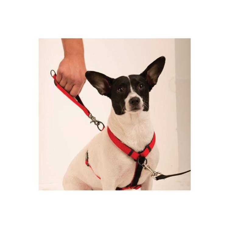 Sporn Ultimate Control Harness - Healthber