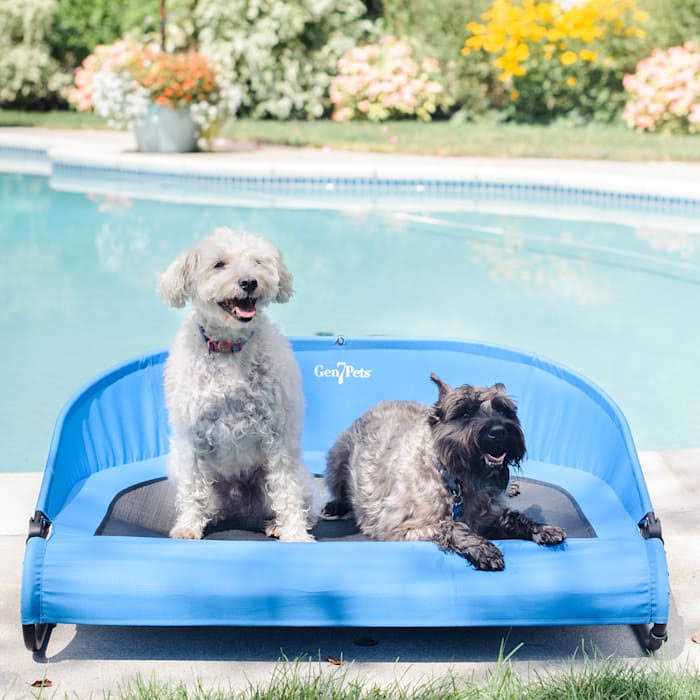 Gen7Pets Trailblazer Cool-Air Cot - Healthber