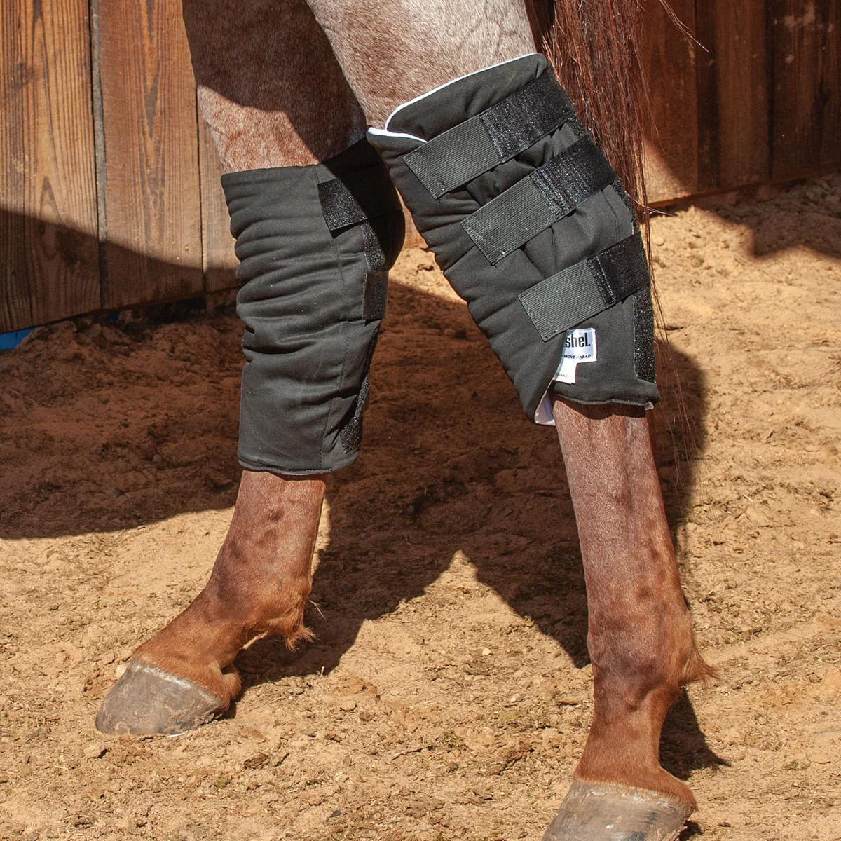 Cashel Hock Sock - Healthber