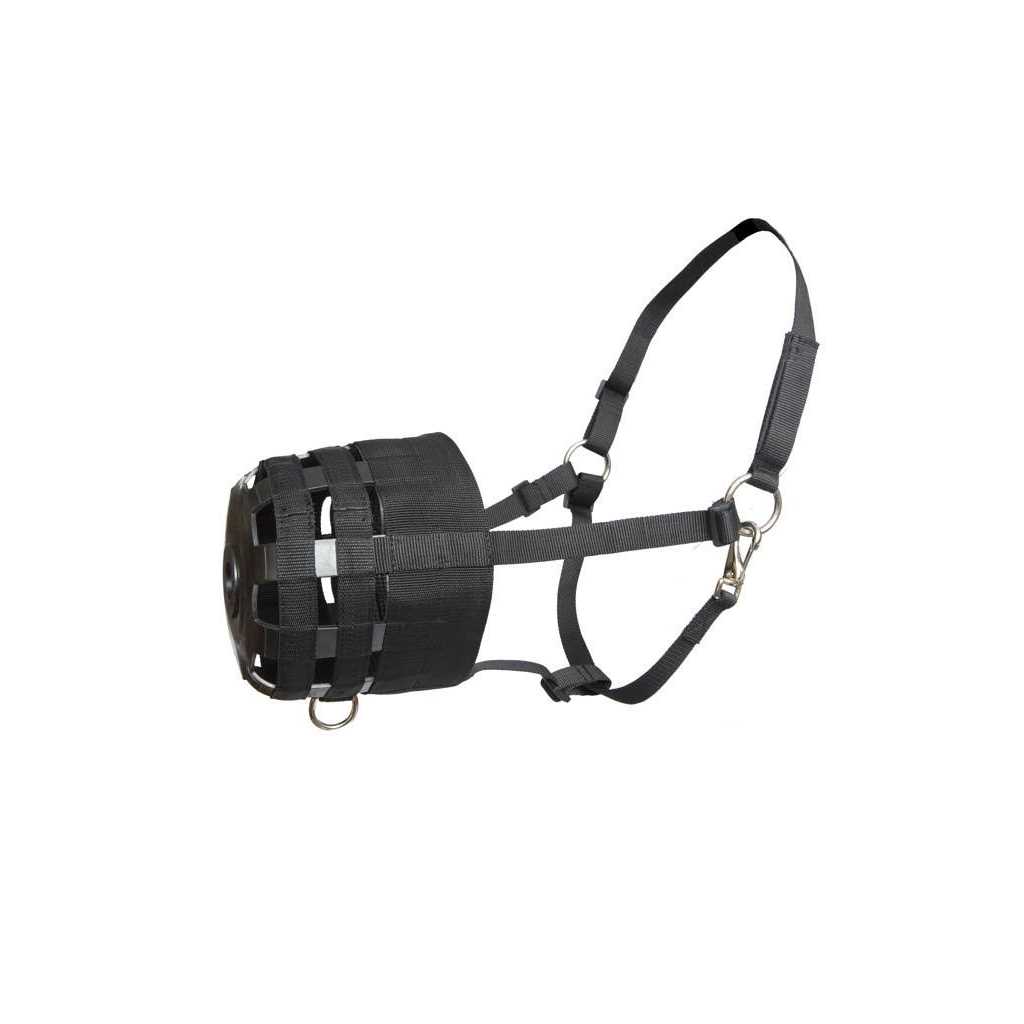 Economy Nylon Halter Grazing Muzzle - Healthber