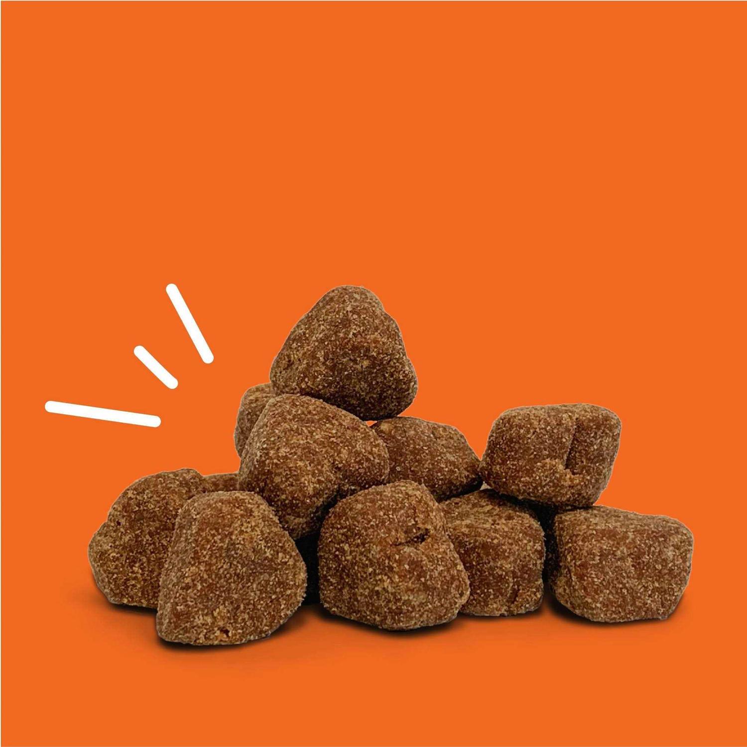 Zesty Paws Probiotic Bites - Healthber