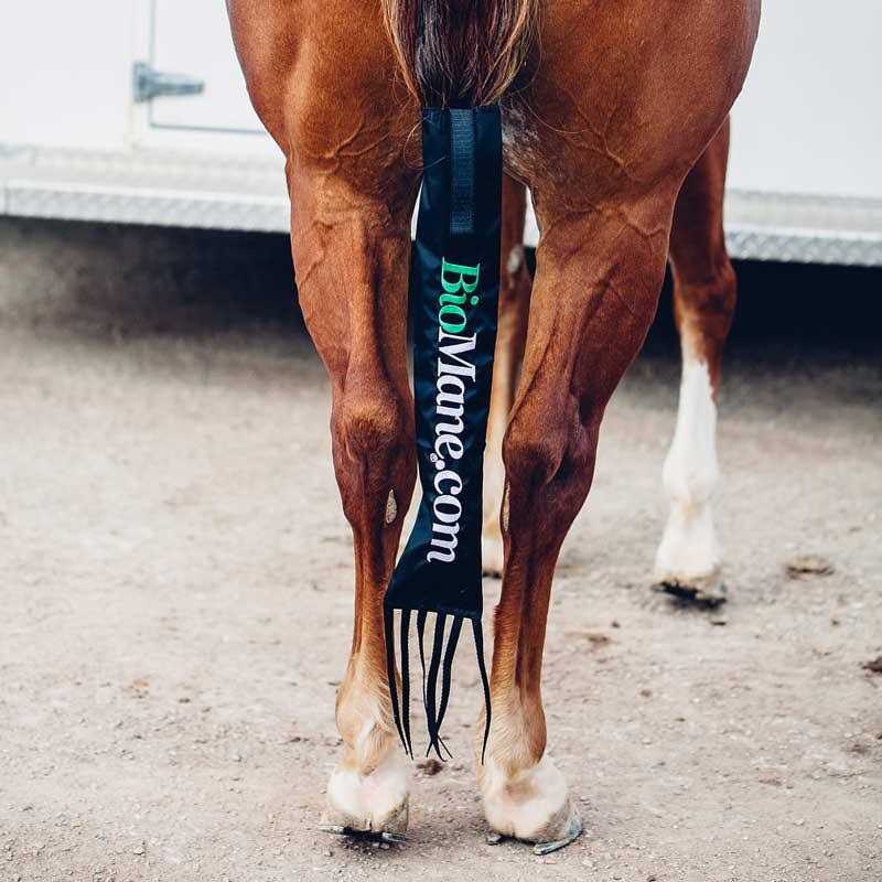 BioMane Tailbag Protect Your Horse’s Tail - Healthber