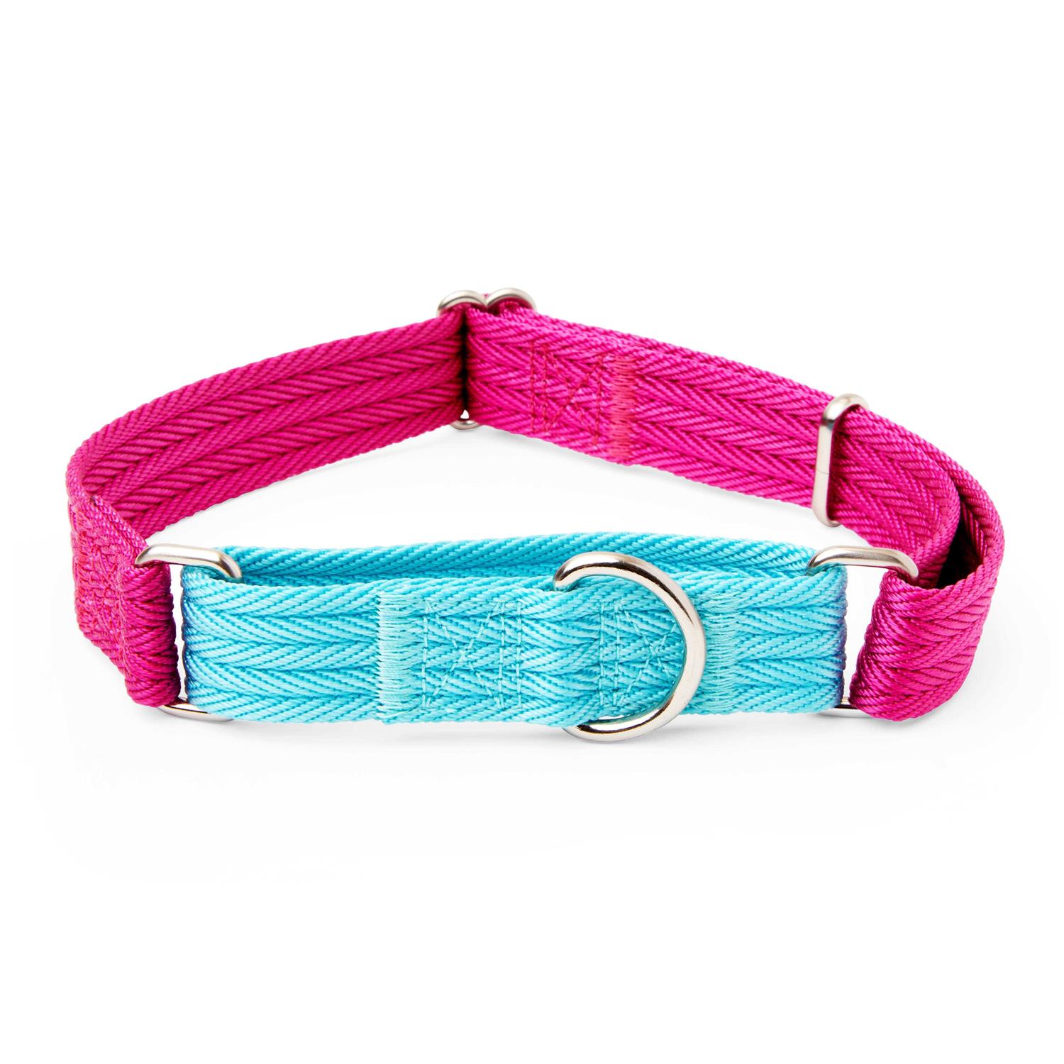 EveryYay Martingale Teal Dog Collar - Healthber