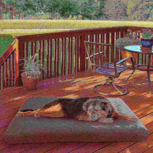 Pet Adobe Waterproof Indoor/Outdoor Memory Foam Pet Bed - Healthber