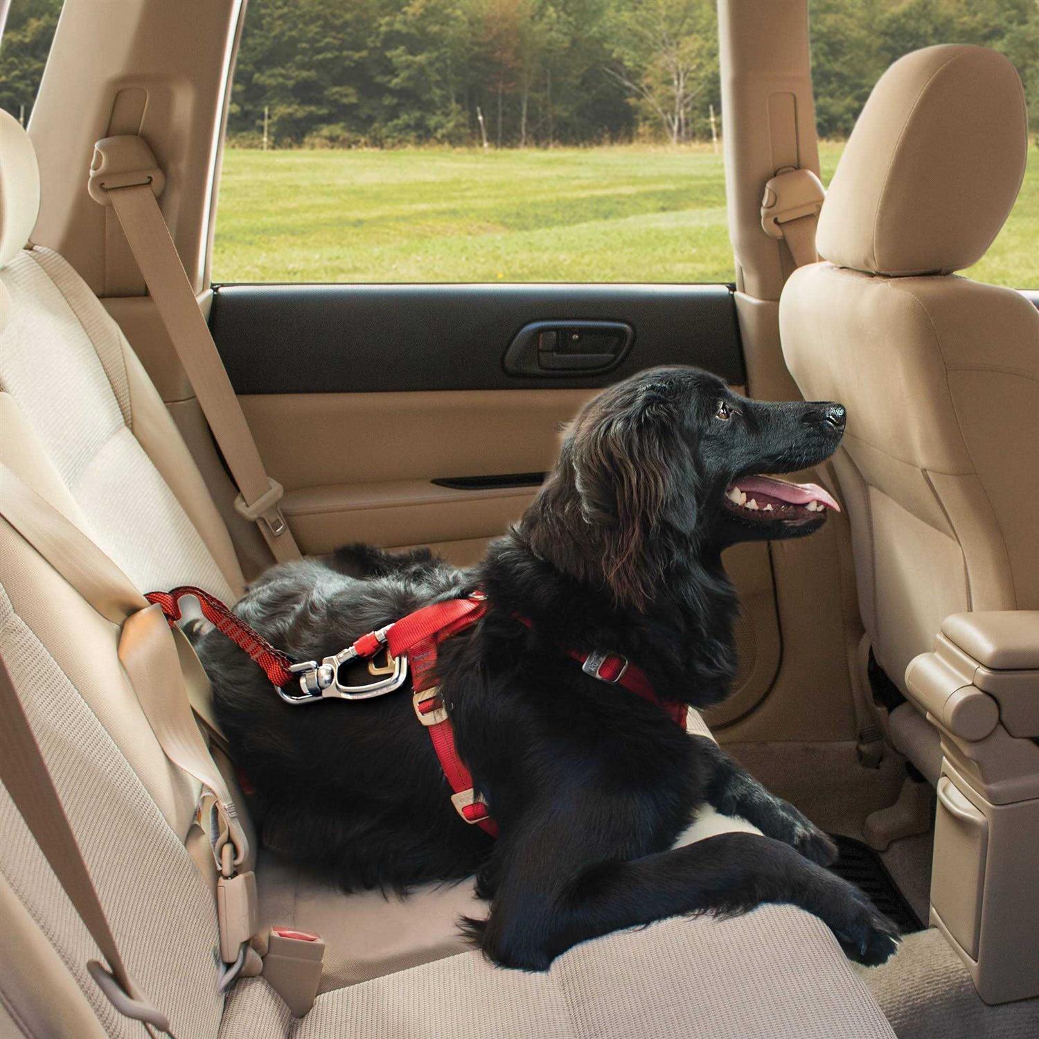 Kurgo Dog Swivel Tether - Healthber