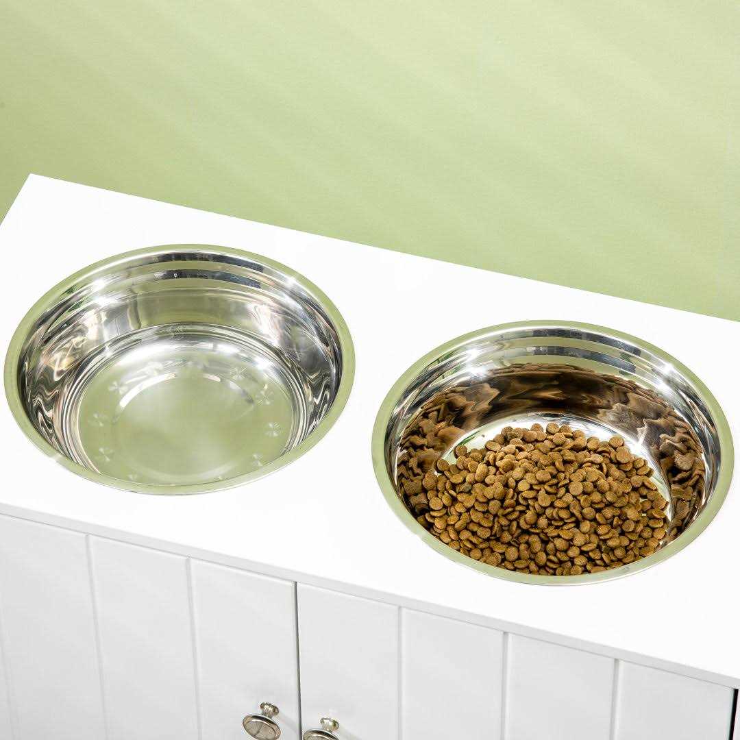 PawHut Large Elevated Dog Bowls with Storage Cabinet Containing Large 44L Capacity - Healthber