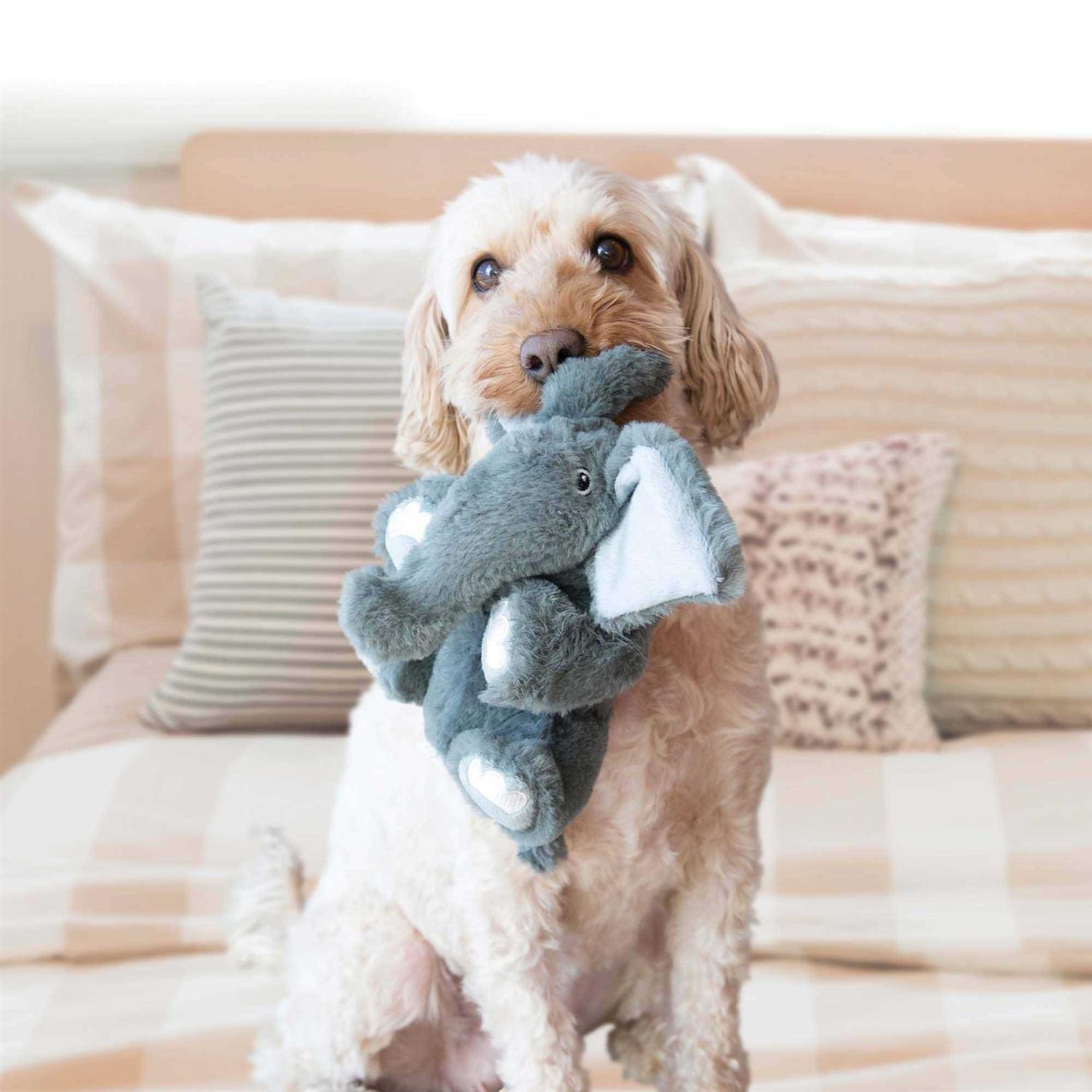 KONG Comfort Kiddos Bear Dog Toy - Healthber