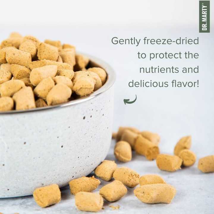 Dr. Marty Nature’s Blend Active Vitality Freeze Dried Raw Dog Food - Healthber