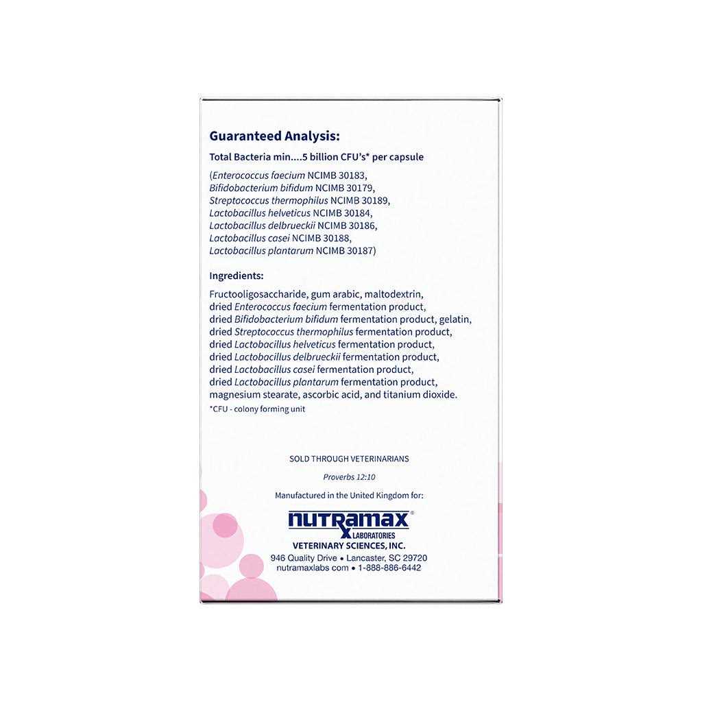 Nutramax Proviable Digestive Health Supplement Multi-Strain Probiotics and Prebiotics for Cats and Dogs - Healthber