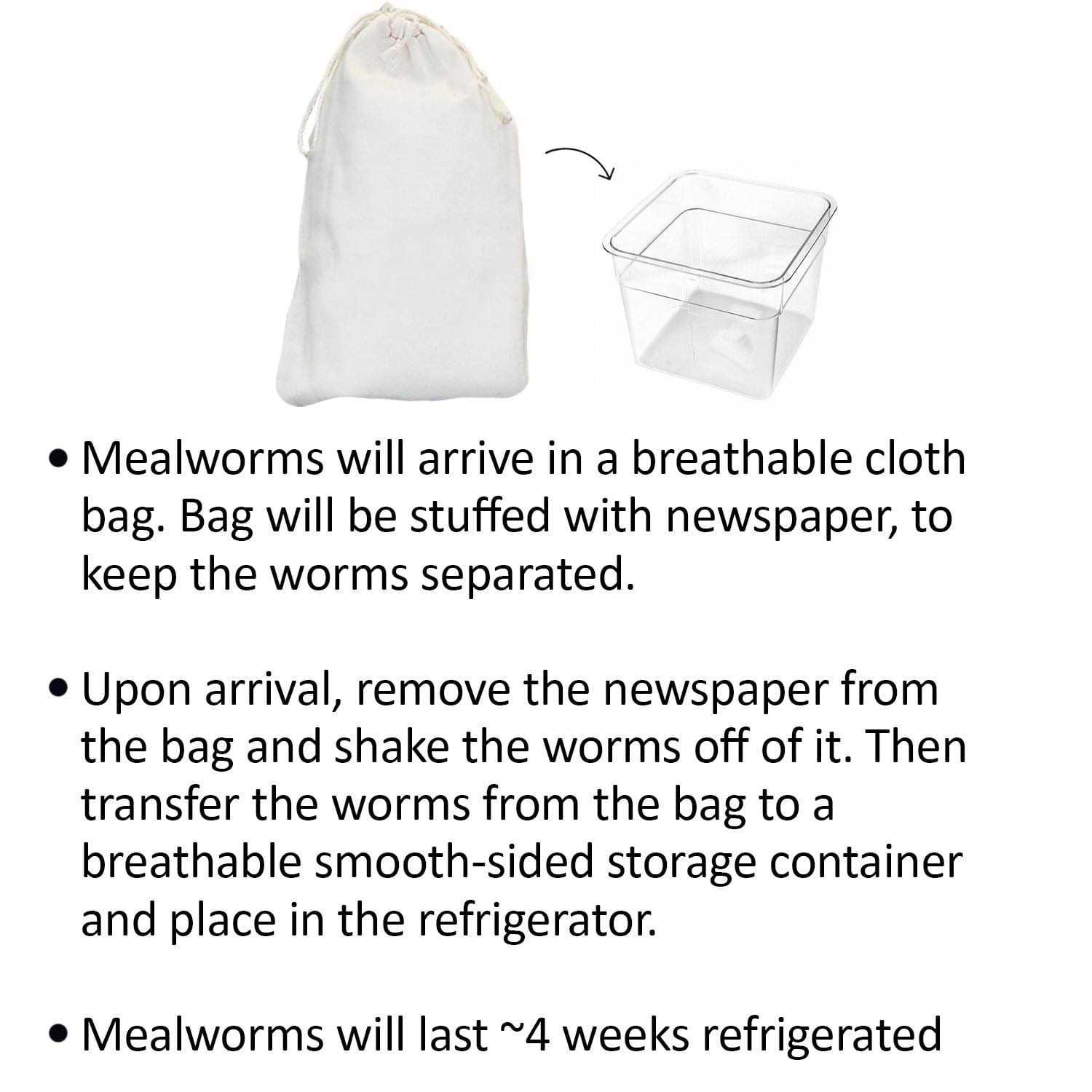 Exotic Nutrition Basic Mealworm Breeder Kit - Healthber