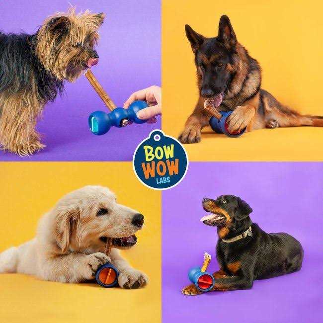 Bow Wow Labs Safe Fit Bully Sticks - Healthber