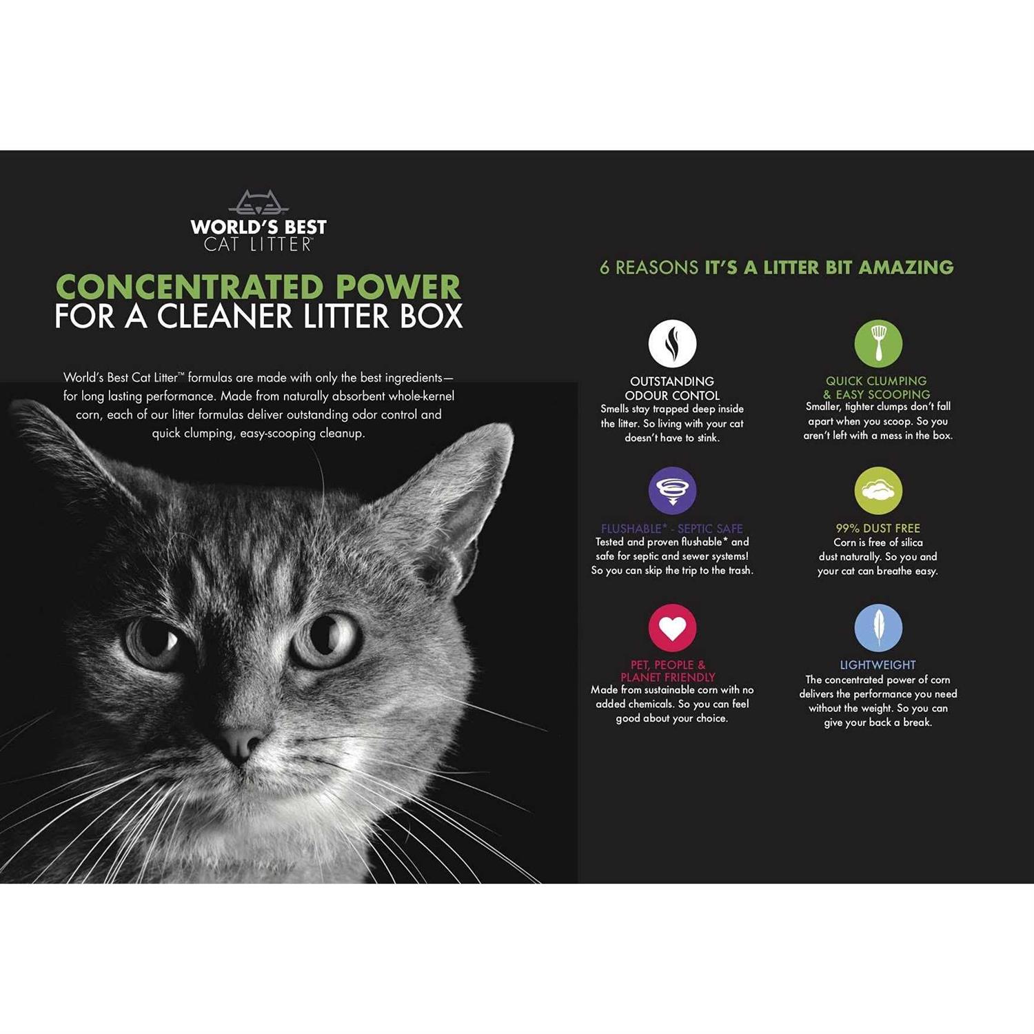 World’s Best Cat Litter Clumping - Healthber