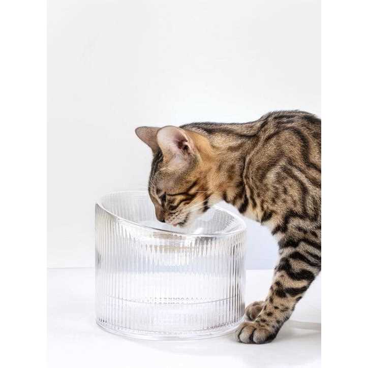 Fooddict Handmade Glass Cat Bowl - Healthber