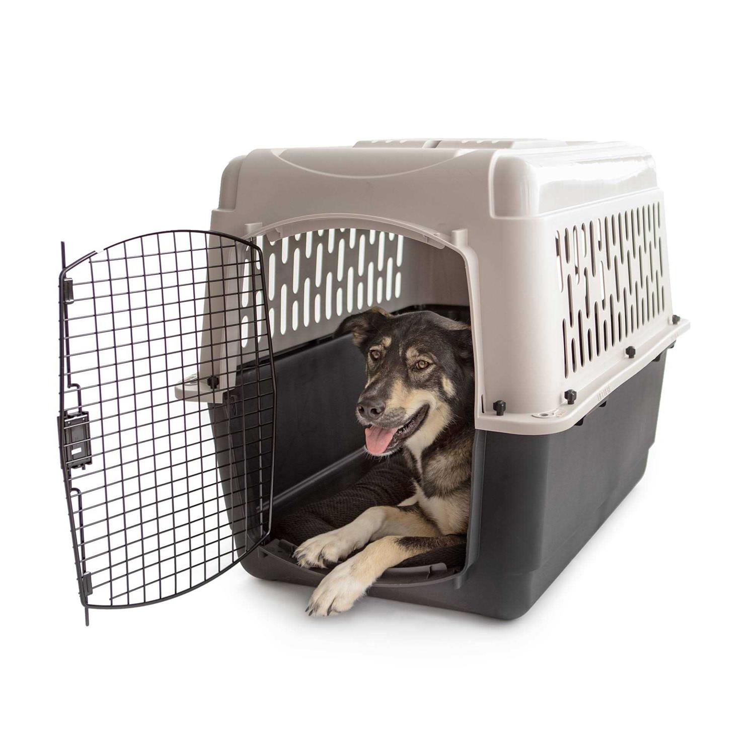 Vibrant Life Dogs Hard-Sided Pet Kennel - Healthber